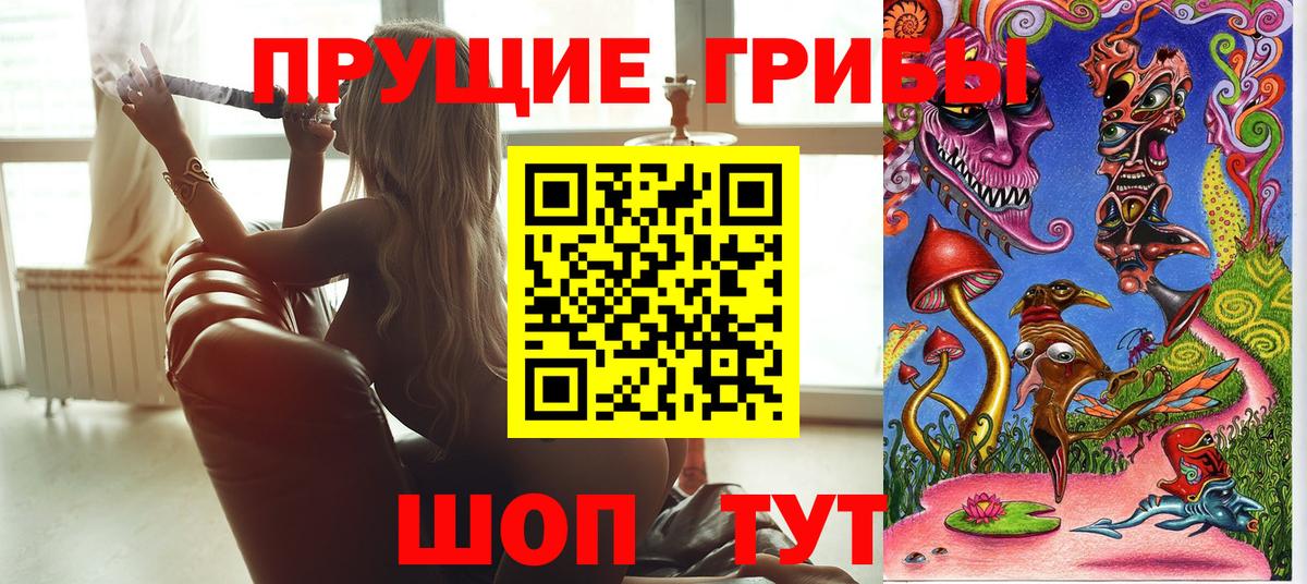Псилоцибиновые грибы Psilocybine cubensis Шарыпово