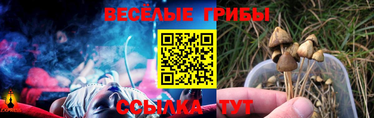 Шарыпово  Псилоцибиновые грибы мухоморы  Вход с VPN 